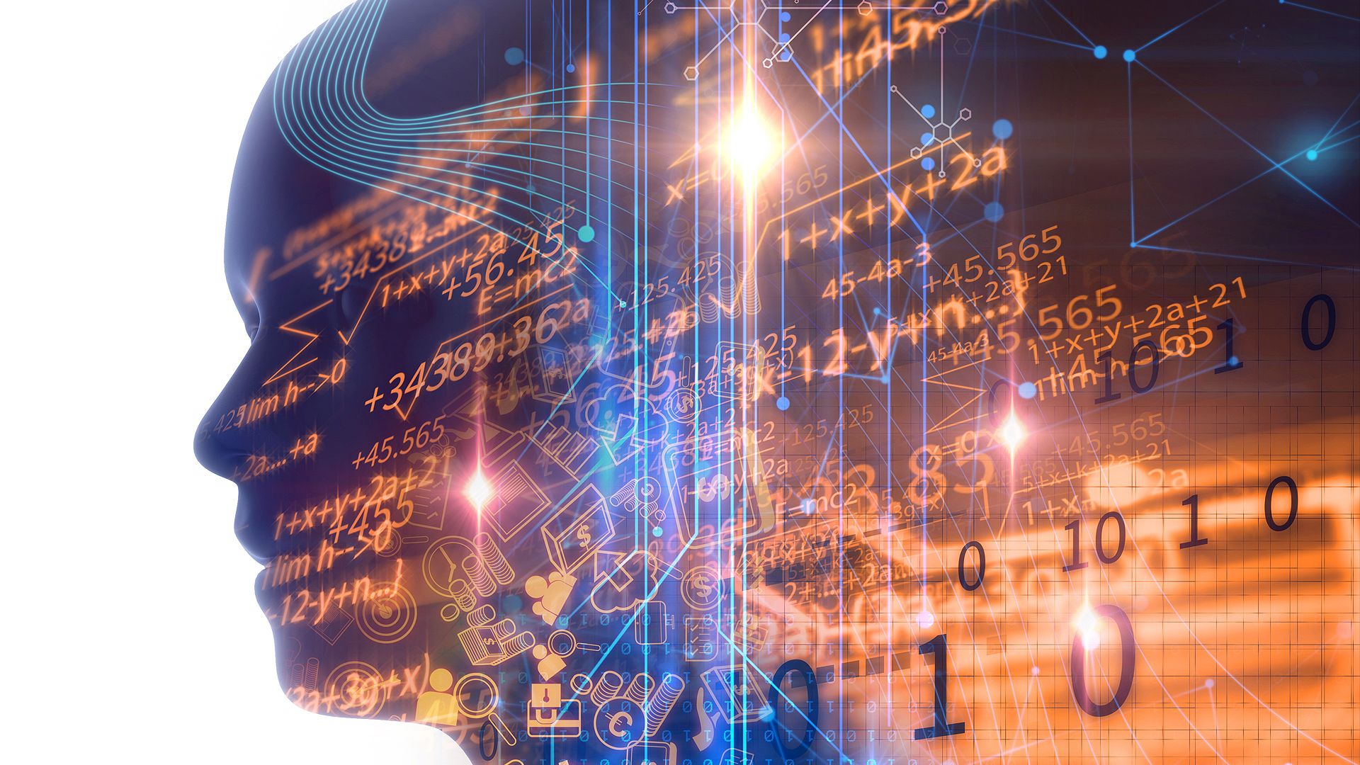 Business Process Services